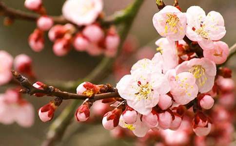 ���һ���ľ��˵�θ�