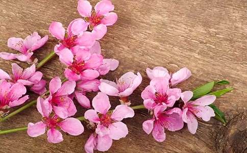 ���һ���ľ�������