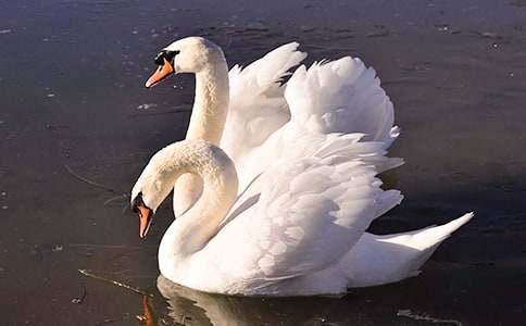 �����ۺ��