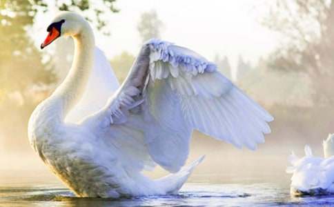 ��Ұ��졷�����