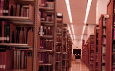 图书是我撕破的中班教案