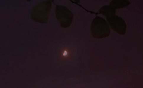 常用温馨的晚安朋友圈问候语合集54条