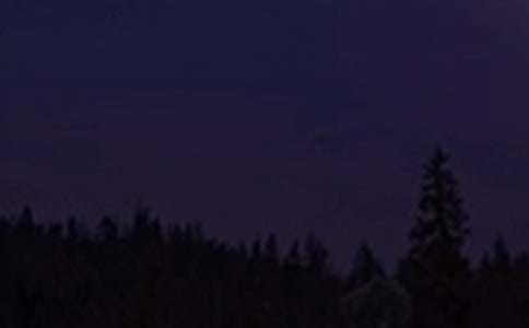 ��������Ȧ����ף�����ȫ����ѡ135�䣩