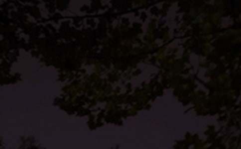 ��ѡ��ů����������Ȧ�ʺ������66��