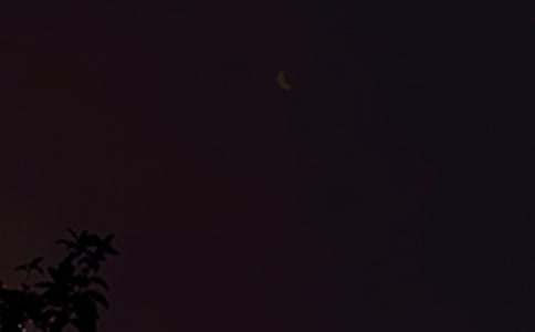 ���������ʺ���