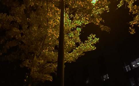 ������ܰ�������ԣ�ͨ��140�䣩