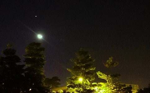 实用的温暖的晚安问候语语录摘录54条