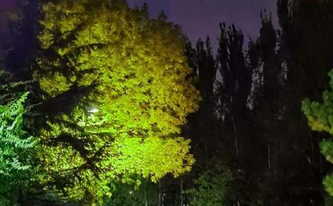 ������ܰ������΢���ʺ���ժ¼62��