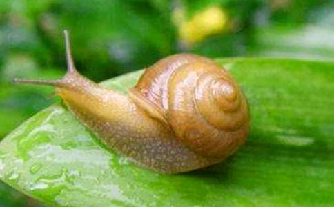 ���꼶�²ᡶ��ţ�Ľ�����˵�θ�