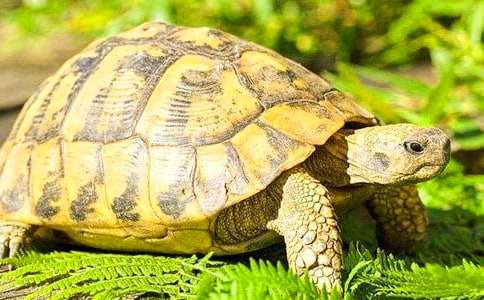 �ڹ�Ҳ�����ۺ��(15ƪ)