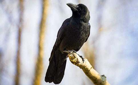 ��ѻ��ˮ��ѧ��˼