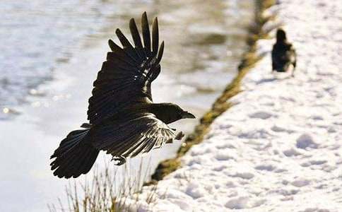 ��ѻ��ˮ��ѧ��˼����Ʒ��