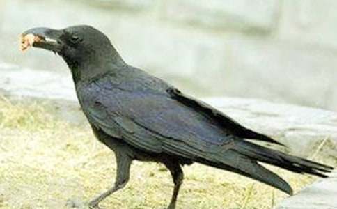 ����ѻ��ˮ����ѧ���