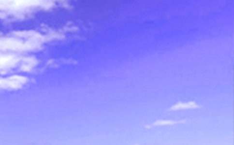 ��������Ȧ�簲����40��