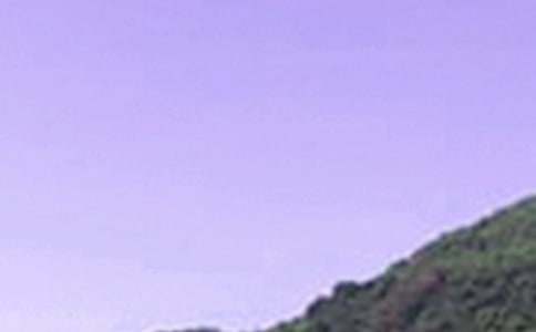 2024������ϵ�簲΢���ʺ�����65��