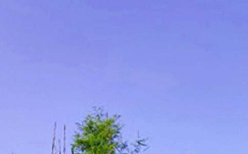 Ψ�����簲QQ�ʺ���29��