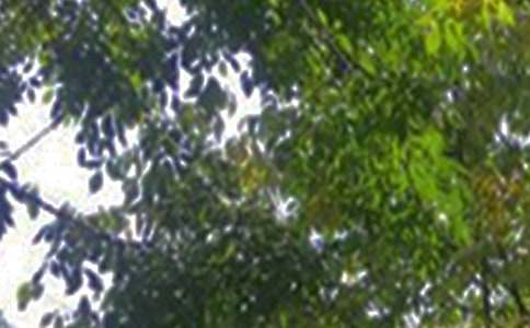 2024����ܰ���簲�ʺ�����Ż��44��