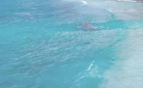 ���յ����뺯