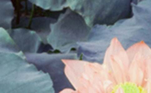 �����ѵ�����ף����