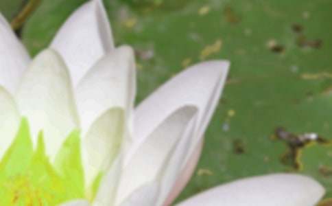 ����ʱ���ʺ���