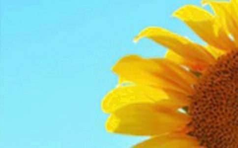 �����տ����ۺ��