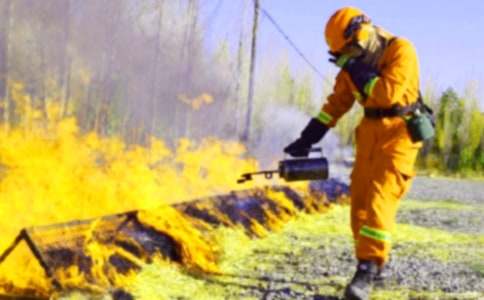 ����������ȫ������������ͨ��