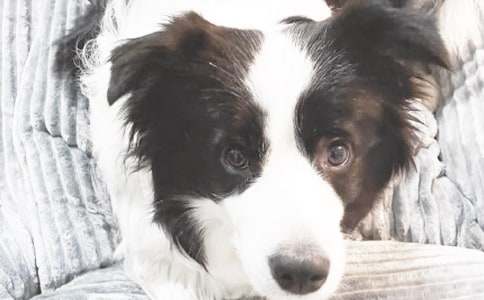 С���������ġ��Ƽ���