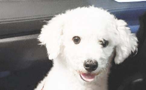 С���������ġ��ȡ�