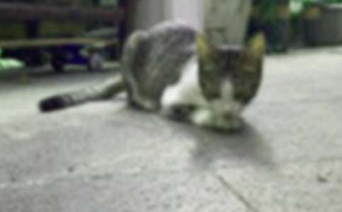 Сè�Ļ�������(15ƪ)