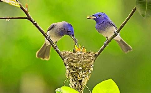 ����С�񡷽�ѧ��˼����ѡ13ƪ��