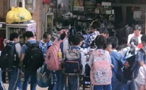 ����ѡ��Сѧ�����ҽ��ܻ���4ƪ