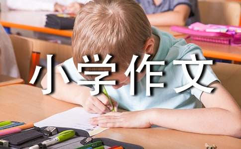 【热门】小学作文300字