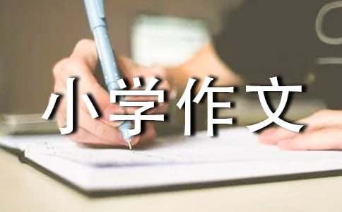 精选我们小学作文300字三篇