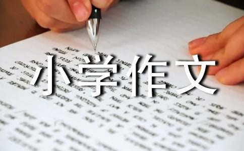我的表妹小学作文