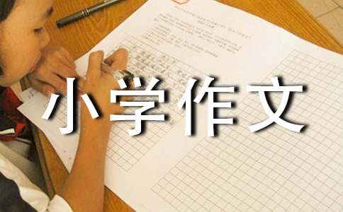 小学作文300字优选(4篇)