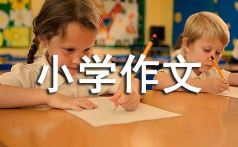 【精选】我的小学作文400字三篇