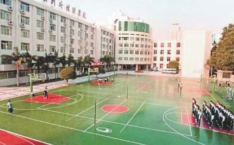 校园欺凌观后感(14篇)