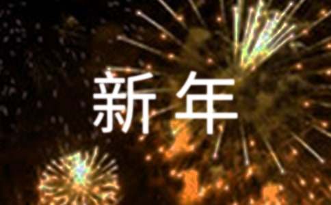 新年话题作文:我的新年