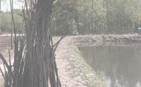 农村鱼塘承包合同范本