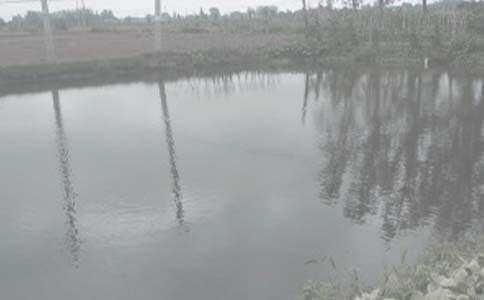 农村鱼塘承包合同