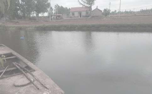 ���������а���ͬ������ƪ