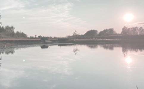 �����а���ͬ