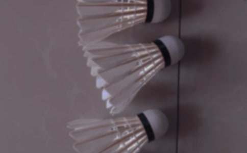 ��ë����ĵ����