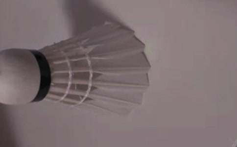 ��ѧ����ë������߻���