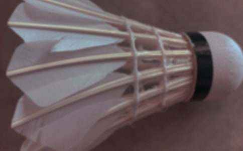 ��ë�����������ĵ��������