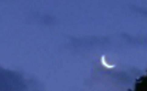 ��������Ը��ѧ���(��ѡ15ƪ)