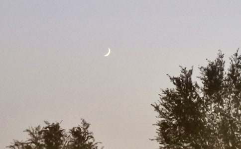 月亮与六便士读后感