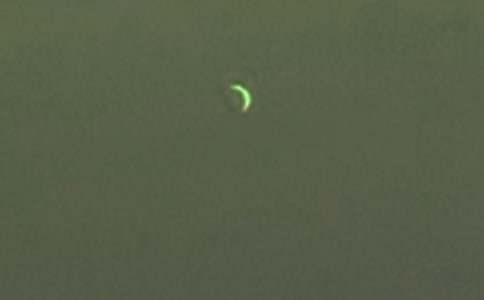 《白兔和月亮》教案12篇