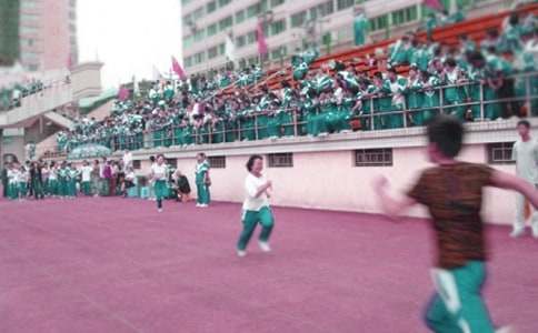 �˶����ܽᣨ����15ƪ��