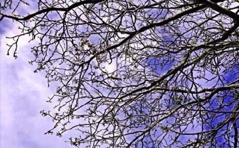 2025�곣��ÿ��һǩ�簲�ʺ�����¼����33��